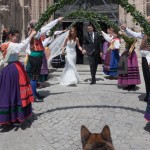 Perros y mascotas en las bodas